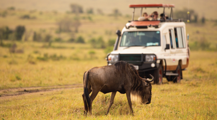 4-Day Group Tour to Serengeti & Ngorongoro Crater