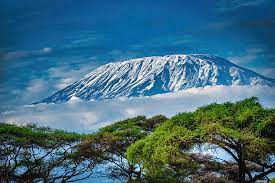 8-Day Lemosho Route Climb to Mount Kilimanjaro
